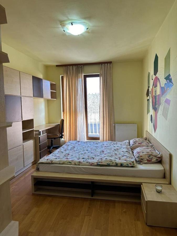 Central Apartment No1 Timișoara Zewnętrze zdjęcie